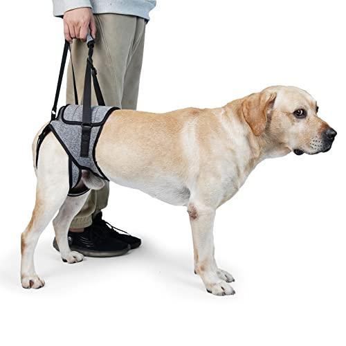 Dog Lift Harness, TORJOY Dog Sling for Small Medium Large Dogs, Dog Support Harness for Back Legs, Adjustable Soft Padded Pet Harness for Olderly, Injured, Arthritic, Disabled Dogs, Grey, XL