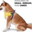 STAR WARS C3PO Dog Harness for Large Dogs, Large (L) | Yellow Large Dog Harness, No Pull Dog Harness with D-Ring | Machine Washable STAR WARS Merch for Dogs STAR WARS Dog Costume,FF18385