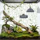 BABORUI Jumping Spider Accessories, Magnetic Cloud Platforms for Climbing Resting, Jumping Spider Enclosure Accessories for Natural Habitat Setup (Cloud)