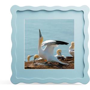 8x8 Picture Frame with Mat for 6x6, Wavy Edge Wooden Real Glass Photo Frame for Tabletop and Wall Hanging, Blue, 1 Pack