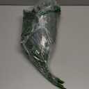 Trytuny Christmas Norfolk Pine Branches, 12 Bundles Artificial Xmas Greenery Leaves Stems and 2PCS Tree Branches for DIY Garlands, Wreaths, Crafts, Holiday and Home Centerpiece Table Decorations