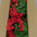 FOREST PRINCE 2 PCS 18" Artificial Geraniums for Outdoors, UV Resistant Red Silk Flowers for Window Box Porch Patio Garden Decor, Waterproof Ruby Red