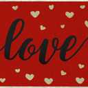 30" X 17" Valentines Day Door Mat Non-Slip and Washable Welcome Mat Rugs for Holiday Indoor Outdoor
Pack Of 2