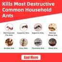 64 PCS Ant Killer Gel Bait Stations, Extra Strengthen Ant Bait Traps, Long-Lasting Effective Pest Gel for Carpenter Ants and Other Common Household Ants, No Mess Easy Use, Safe for Pets and Kids