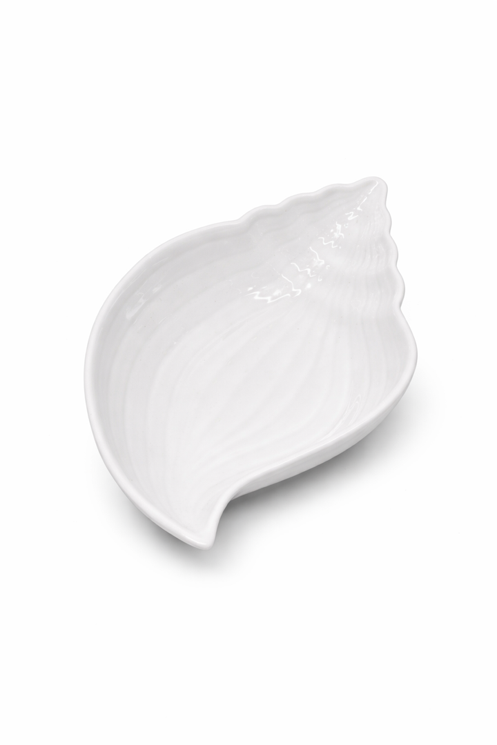 TTU Gallery Coastal Collection 12.2x 7.5x 2.75In White Seashell Bown