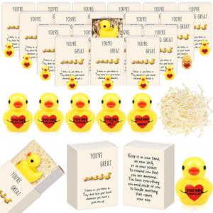50 Set Bulk Employee Appreciation Gift for Social Worker Coworker Office Thank You Small Funny Desk Pets Cute Resin Ornament Party Favor Positive Volunteer Emotional Card Box (Heart Duck)