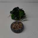 AlphaAcc Artificial Plants Decor Greenery Fake Succulents Indoor Potted Fake Plant with Rustic Black Clay Planter for Farmhouse Room Bathroom Bedroom Kitchen Office Table Desk Decor (12.8" H)