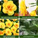 Waipfaru 4 Large Bundles Artificial Fake Flowers Plants for Fall Outdoor Outside Decor, Faux Silk Yellow Camellia UV Resistant Realistic for Planter Front Door Porch Patio Balcony Decoration
