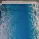 AWERT 48x18 inches Polyester Ocean Floor Background Undersea Ocean Floor Aquarium Background Tropical Tank Background