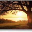 NOVASTARCK Large Wall Art for Living Room Landscape Canvas Painting Big Trees in Sunset Golden Sunset Forest Natural Landscape Painting Artwork for Bedroom Office Home Decor 29"x58"