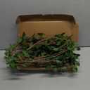 6pcs 41.3inch Greenery Stems Artificial Branches for Vases Olive, Spring Green Long Stem Fake Plants Indoor Branches for Garden Office Home Desk Decoration