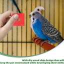 BESPORTBLE Bird Toy Parts, Pack of 100 Wood Blocks for Birds Multicolored Natural Wooden Blocks Bird Chewing Toy Mini Wood Chip Charms for DIY Playing Chewing Bird Toys