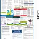 KIKIGO 2026 Georgia State & Federal Labor Laws Poster OSHA Bilingual Poster, 24" x 36"