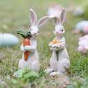 Newman House Studio Easter-Decorations Bunny-Decor Spring-Figurines Table-Centerpiece - 2PC Spring Decorations Resin Rabbits with Carrot and Flower Tabletop Ornaments for Home Farmhouse 4.5H inch