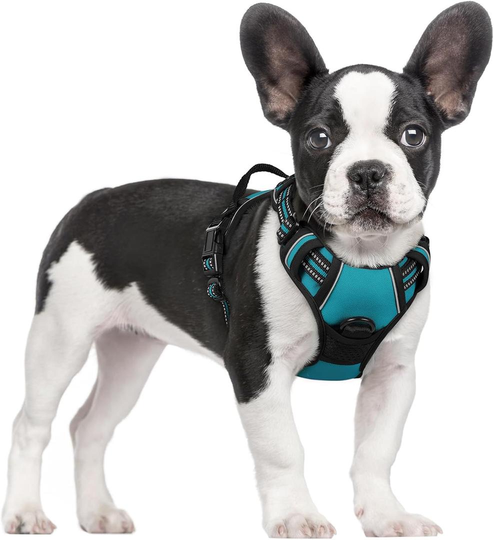 rabbitgoo Dog Harness No Pull with 2 Leash Clips, Adjustable Soft Padded, Reflective Oxford No Choke Pet Vest with Easy Control Handle for Small Dogs, Teal, Small