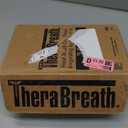 TheraBreath Fresh Breath Mouthwash, Icy Mint Flavor, Alcohol-Free, 16 Fl Oz (Pack of 2)