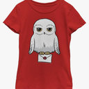 Harry Potter Girl's Anime Hedwig Mail Medium