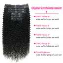Curly Clip in Hair Extensions for Black Women Brazilian Virgin Human Hair Clip in Extensions Kinky Curly Clip ins Human Hair 8Pcs, 120g, 14inch, Natural Black