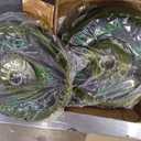 CAP Barbell 100 LB Economy Olympic Bumper Plate Set with Color Logo | Black