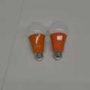 2 Pack BlueX LED A21 Orange Light Bulbs - 13W (100Watt Equivalent) - E26 Base LED Bulb, Party Decoration, Porch, Home & Holiday Lighting, Decorative Illumination