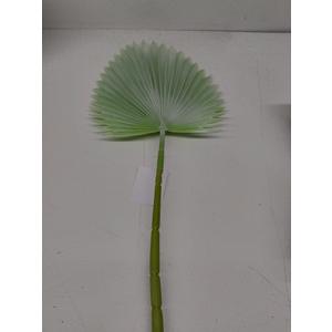 Spring Summer Declaration, 1 Pack