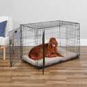 MidWest Homes for Pets 42-Inch iCrate for Large Breeds, 71-90 lbs, Double Door Folding Dog Crate with Divider Panel, Leak-Proof Tray & Secure Latches, Portable, Durable & Easy to Assemble