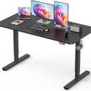 48" Large Electric Standing Desk Adjustable Height for Home Office, 48 x 24 Inch