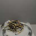 Wheel Rim Protector for Tesla Model Y 20 Inch Induction Wheels All-in-one Car Tire Trim Rings Rim Case Hubcaps Wheel Cover 2020-2024 Model Y Accessories (Matte Black)