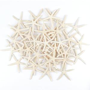 24 PCS Starfish, Mixed Starfish 2" to 3" and 3" to 4" Natural Seashells Starfish White Starfish Ornaments Perfect for Wedding Beach Theme Party Home Decorations, DIY Crafts, Fish Tank