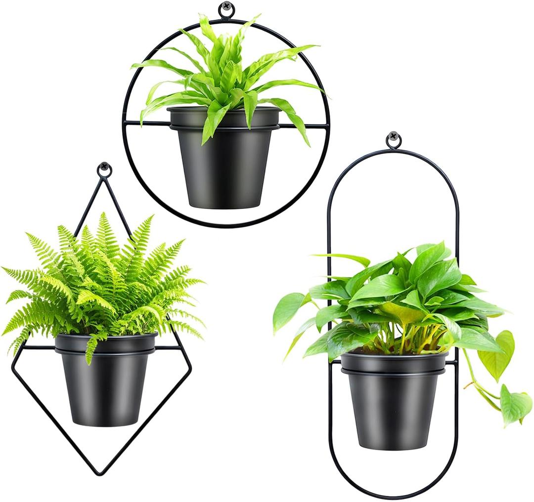 Geometric Wall Planters for Indoor Plants Set of 3 Black Metal Wall Mounted Plant Holder (Diamond & Oval & Round Shapes) with 5 Inch Flower Pots, Modern Hanging Planters for Indoor Decor