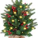 Mini Christmas Tree,20 inch/50CM Small Christmas Tree with Lights with 2M LED Lights,75 Branch Tips,for Home Office Christmas Decorations