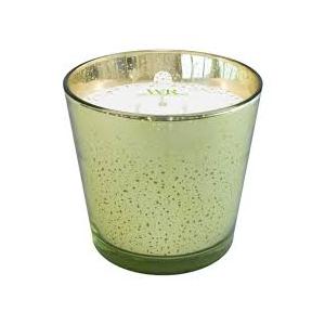 HC 24OZ CANDLE GARDEN RAIN GREEN