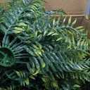 QIANYUN Fake Fern Outdoor Artificial Plants-2-Pack Artificial Outdoor Hanging Fern Faux Greenery UV Resistant Plastic Plants for Front Porch Living Room Garden Decor- Including Hanging Planters