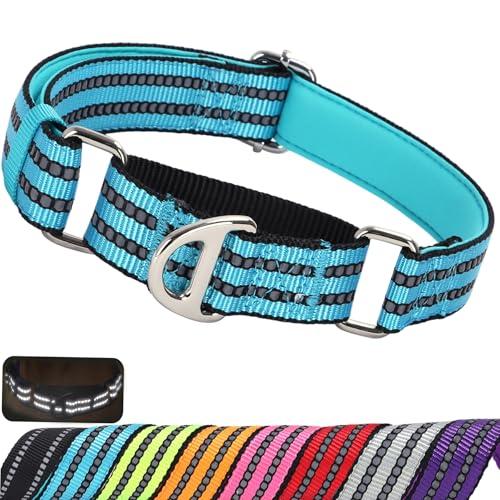 Martingale Dog Collars for Large Dogs, Reflective Nylon No Pull Choke Collar with Padded Heavy-Duty Metal D-Ring No Buckle for Nighttime Walking & Training -Blue L