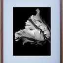 Mikasa Walnut Gallery Photo Frame, Displays 11x14 Photo with mat and 16x20 Photo without mat