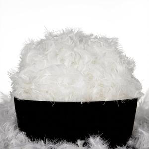 MOOX Down Feathers Pillow Stuffing Filling for DIY Projects Premium Natural 5/95 Goose Feather Down Soft Fluffy Perfect for Pillow Cushions Bedding Pillow Couch Dog Bed Upholstery Crafts (1.0, Pounds)