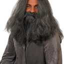 fun shack Gray Wig Wizard Beard and Wig Halloween Costumes For Men