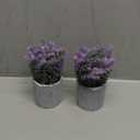 CADNLY Artificial Lavender Plant in Pots - Faux Lavender Flowers Decor  Fake Flowers Purple Decor Plant Potted Bathroom Bedroom Kitchen Farmhouse Home 2 Pack
