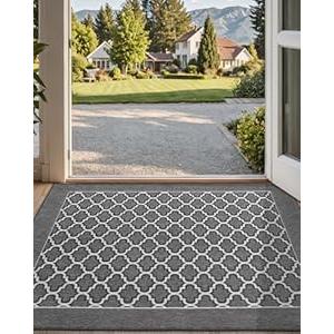 DEXI Entryway Door Mat Inside, Front Entrance Doormat Thin Low Profile, Non Slip Mats Absorbent for Home Entry Floor, 24x36, Floral Grey