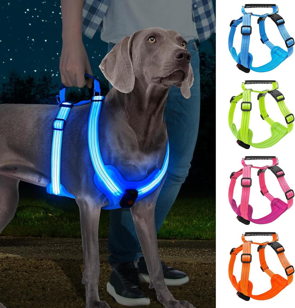 Light Up Dog Harness, Led No Pull Dog Harness with Handle Reflective Glow-in-The-Dark for Night Walking, USB Rechargeable Lighted Vest for Medium Large Dogs, Adjustable Soft Illuminated (Blue, Medium)
