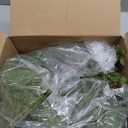 DN DECONATION Artificial Christmas Norfolk Pine Stems, Faux Pine Branches with Cones 22.4" 12PCS - Greenery Fake Pine Needles for Vase Arrangements, Winter, Holiday Indoor Outdoor Home Decor (Set of 12, Green and Brown57)