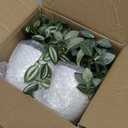 Hollyone Fake Plants 2 Packs Artificial Plants Indoor Faux Plants with White Plastic Pot Small Fake Potted Plant for Home Aesthetic Living Room Bathroom Desk Shelf Office Decor