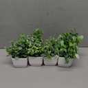 Der Rose 4 Pack Fake Plants Mini Artificial Greenery Potted Plants for Home Decor Indoor Office Table Room Farmhouse Bathroom Decor (Grey)