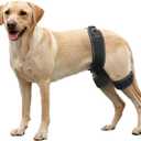 CHAMIN Dog Hip Orthotics Brace, Dog Hip Dysplasia Brace Harness, Support for Hip Dysplasia, Luxating Patella, Relieve Hip Pain, Prevent Hip Joint Diseases and Assisted orthopedics, (Large)