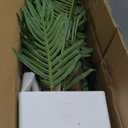 Artificial Palm Tree 7FT, Fake Tree with Realistic Fiber Trunks and White Tall Planter, Faux Tropical Areca Floor Plant in Pot, Artificial Silk Plant for Home Decor Office Decor Indoor (6in)
