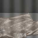 Bedsure Satin Pillowcase with Zipper, Similar to Silk Pillow Cases 2 Pack, Beige Standard Size Satin Pillow Case, Silky & Soft Pillow Covers, Valentines Day Gifts for Women Men, 20x26 Inches