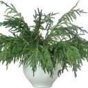 Jutom Christmas Norfolk Pine Branches, Artificial Norfolk Branch Faux Plants Greenery Stem Pine Picks for Christmas Vase DIY Crafts Centerpiece Garland Wreath Home Decor(12 Pcs,30 Inches)