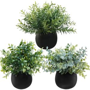 Winlyn Set of 3 Small Potted Faux Plants 8" Artificial Eucalyptus Rosemary Boxwood Plants in Black Concrete Pot Desk Plants for Home Office Bathroom Kitchen Counter Shelf Coffee Table Windowsill Dcor (Black Pots)