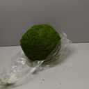 Real Natural Moss Made Products (6'' Moss Ball)