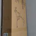 Roman Chair,Foldable Back Extension Machine,Adjustable Ab Back Extension Machine,Core Strength Trainer,Back Exercise Machine for Glute,Ab Workouts,Full All-in-One Body Workout&Home Gym Fitness(Red)